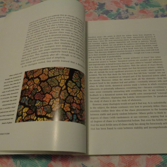 FRACTALS THE PATTERNS OF CHAOS BY JOHN BRIGGS 1992 - Picture 7 of 15